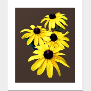 Black-Eyed Susans in a Row Posters and Art